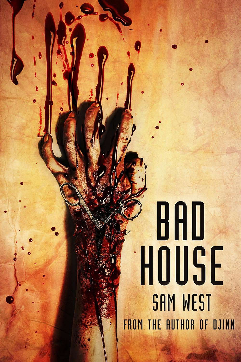 Bad House poster