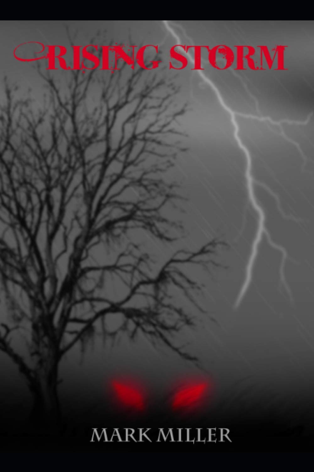 Rising Storm poster