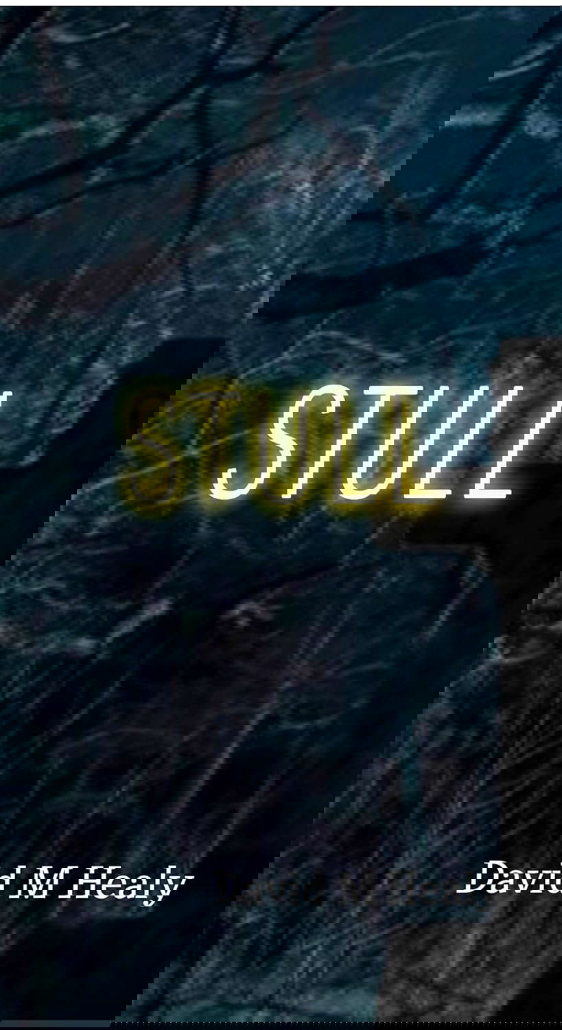 STULL poster