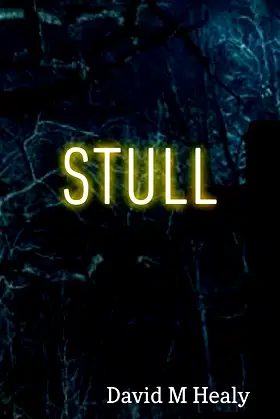 STULL poster