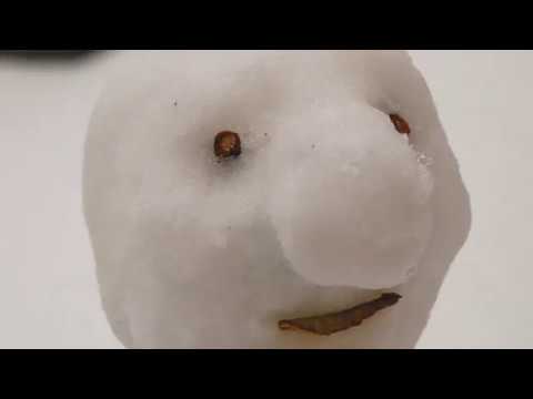 A Snowman experiences cosmic horror