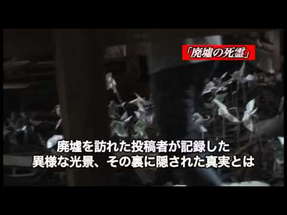 「封印映像１５　廃墟の死霊」予告 poster