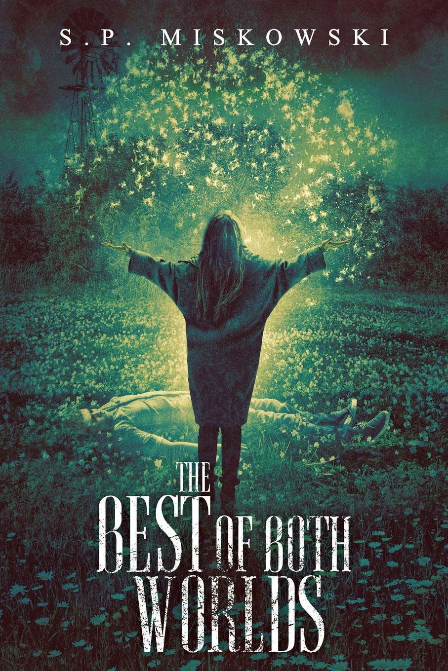 The Best of Both Worlds poster