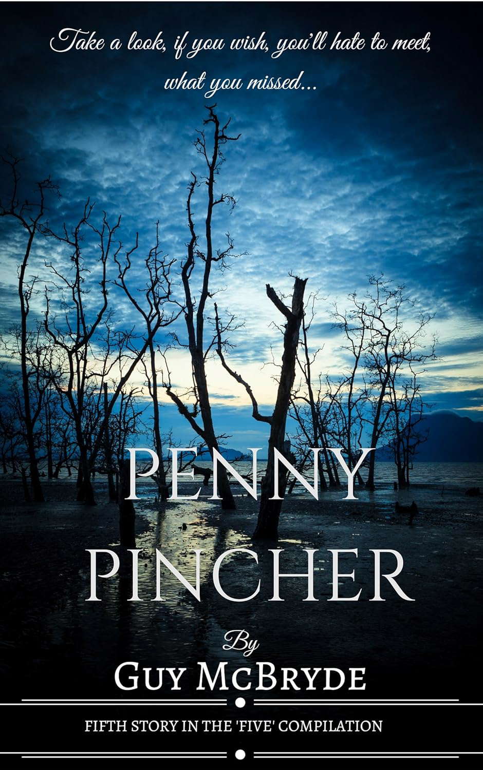 Penny Pincher poster
