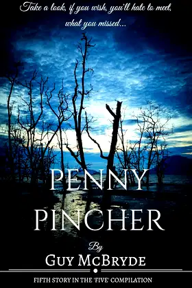 Penny Pincher poster