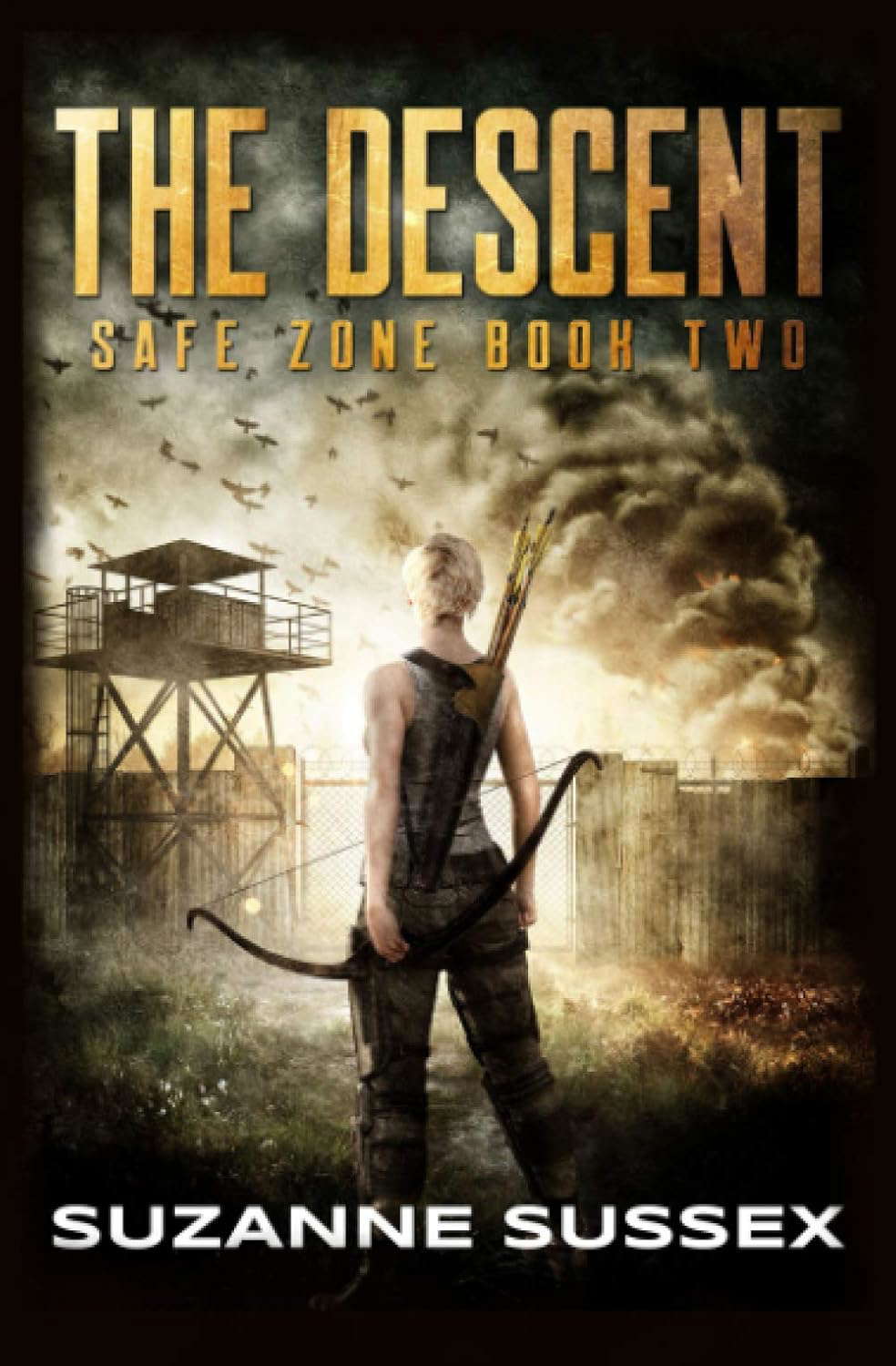 The Descent: A Post-Apocalyptic Zombie Survival Series (Safe Zone) poster