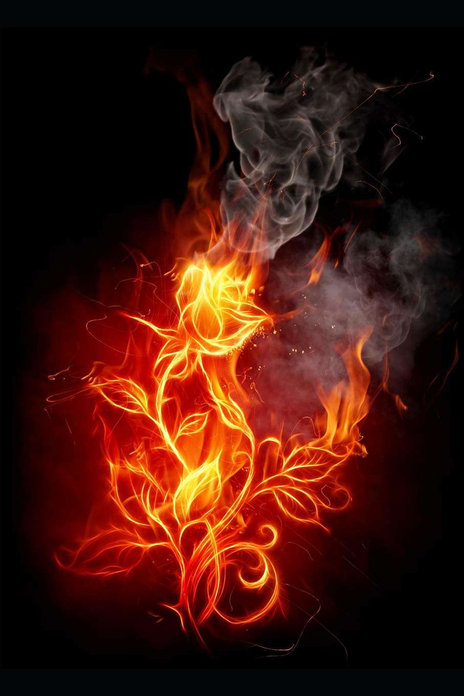 Born in Fire: A Short Story Collection poster