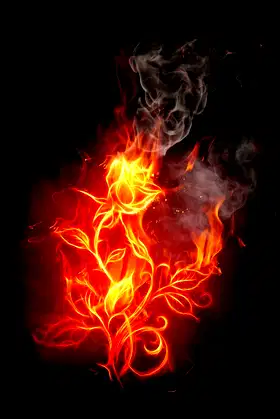 Born in Fire: A Short Story Collection poster
