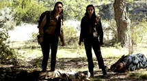 episode poster