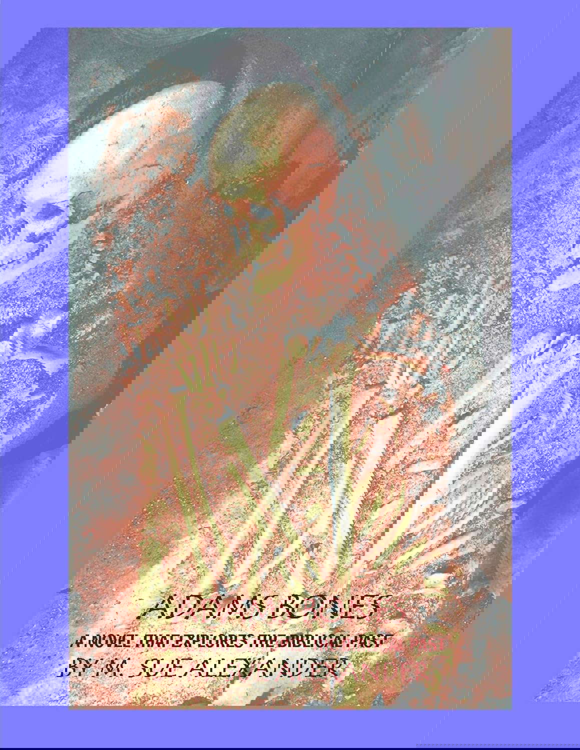 Adam's Bones poster