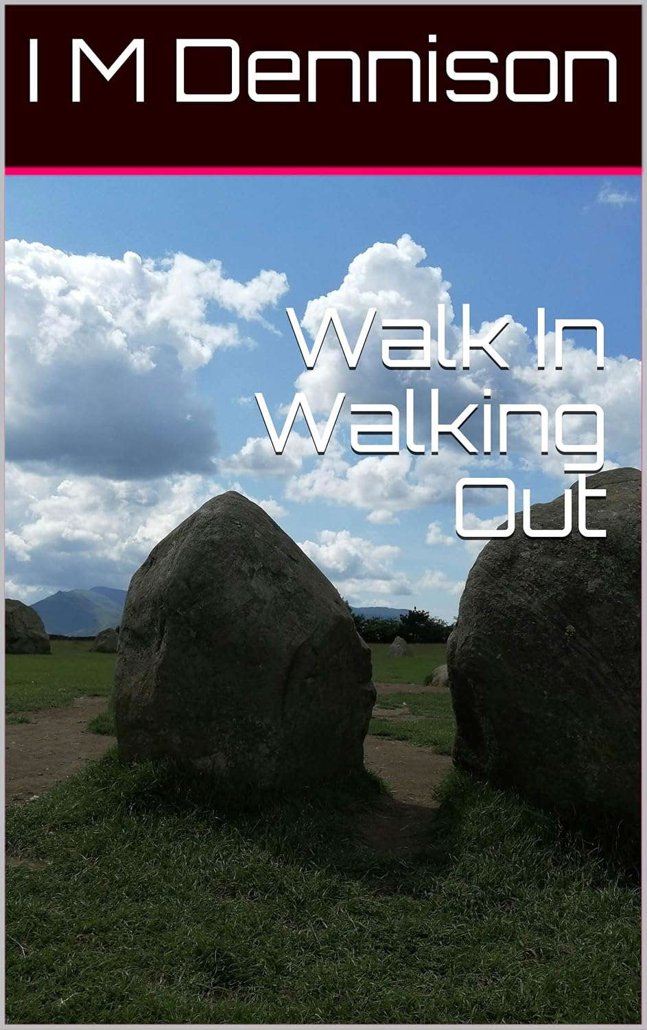 Walk In Walking Out (From Hunter to Hunted Book 2) poster