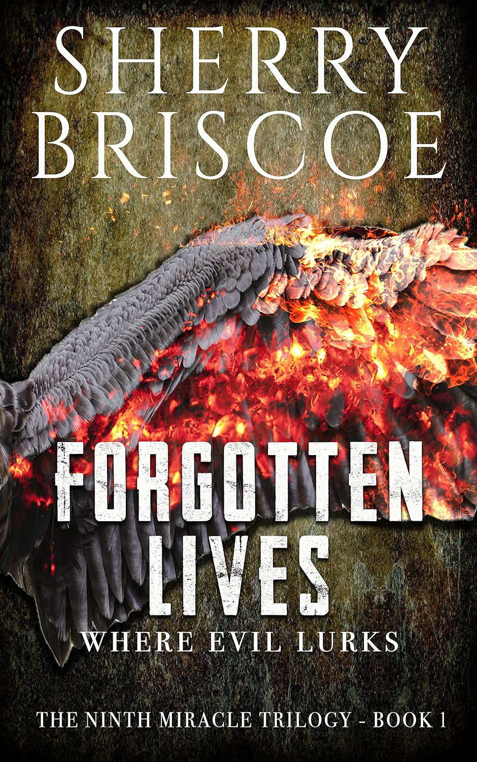 Forgotten Lives: Where Evil Lurks (The Ninth Miracle Trilogy Book 1) poster