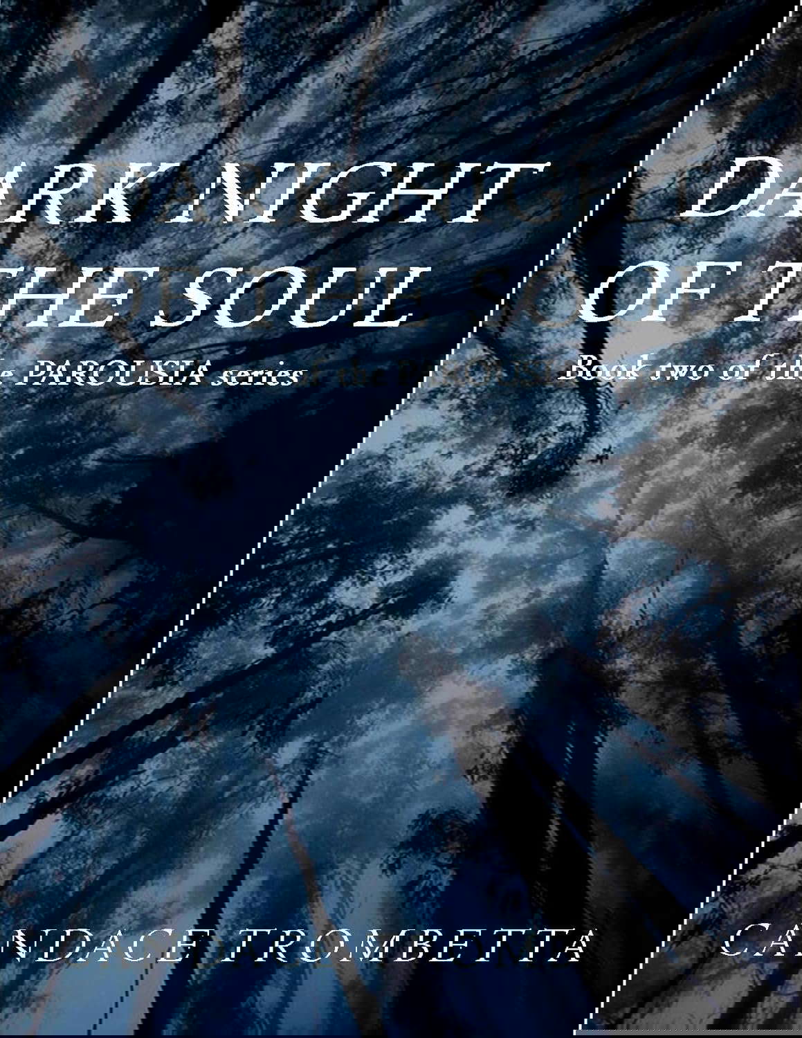 Dark Night of the Soul: Book two of the PAROUSIA series poster