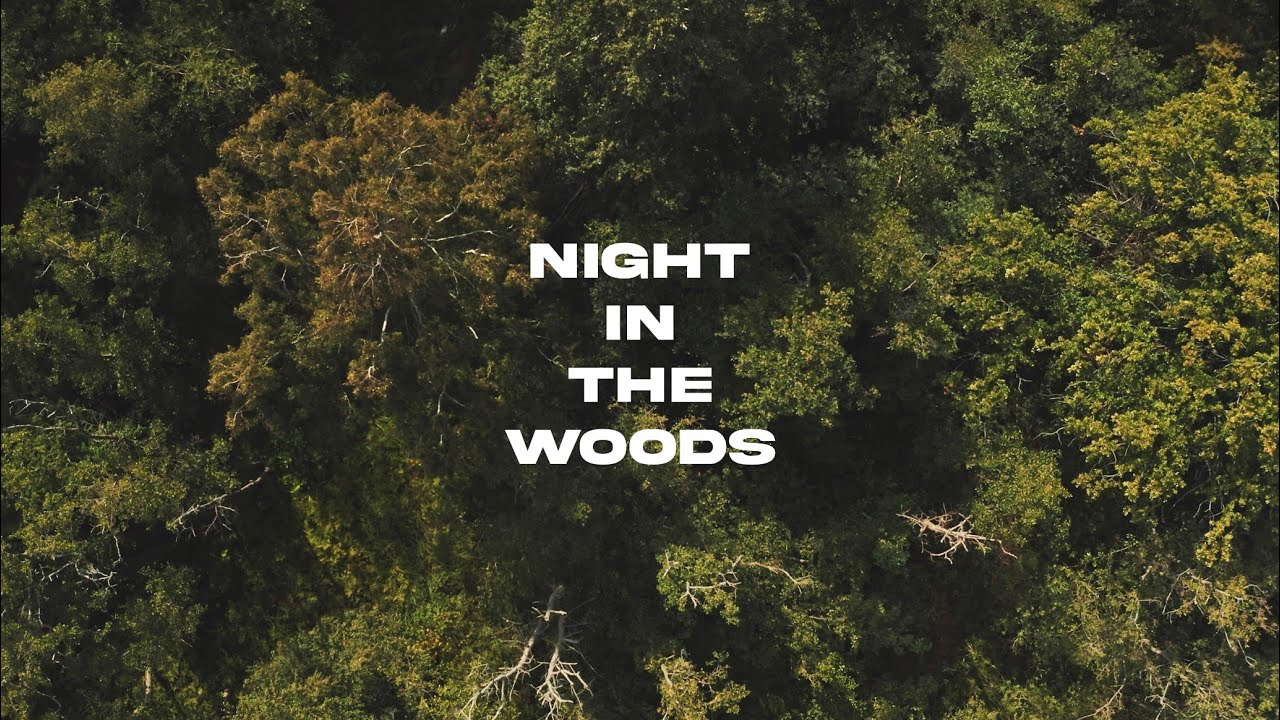 “Night In The Woods” (short horror film)