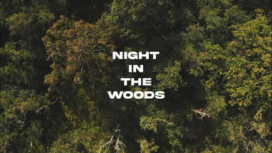 “Night In The Woods” (short horror film) poster