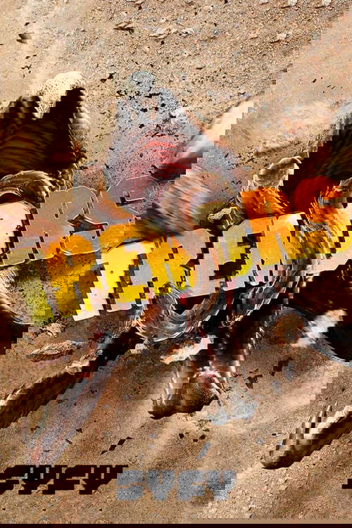 Tremors poster