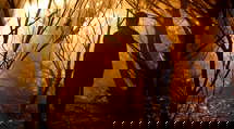 episode poster
