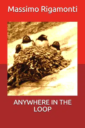 ANYWHERE IN THE LOOP (Stories) poster