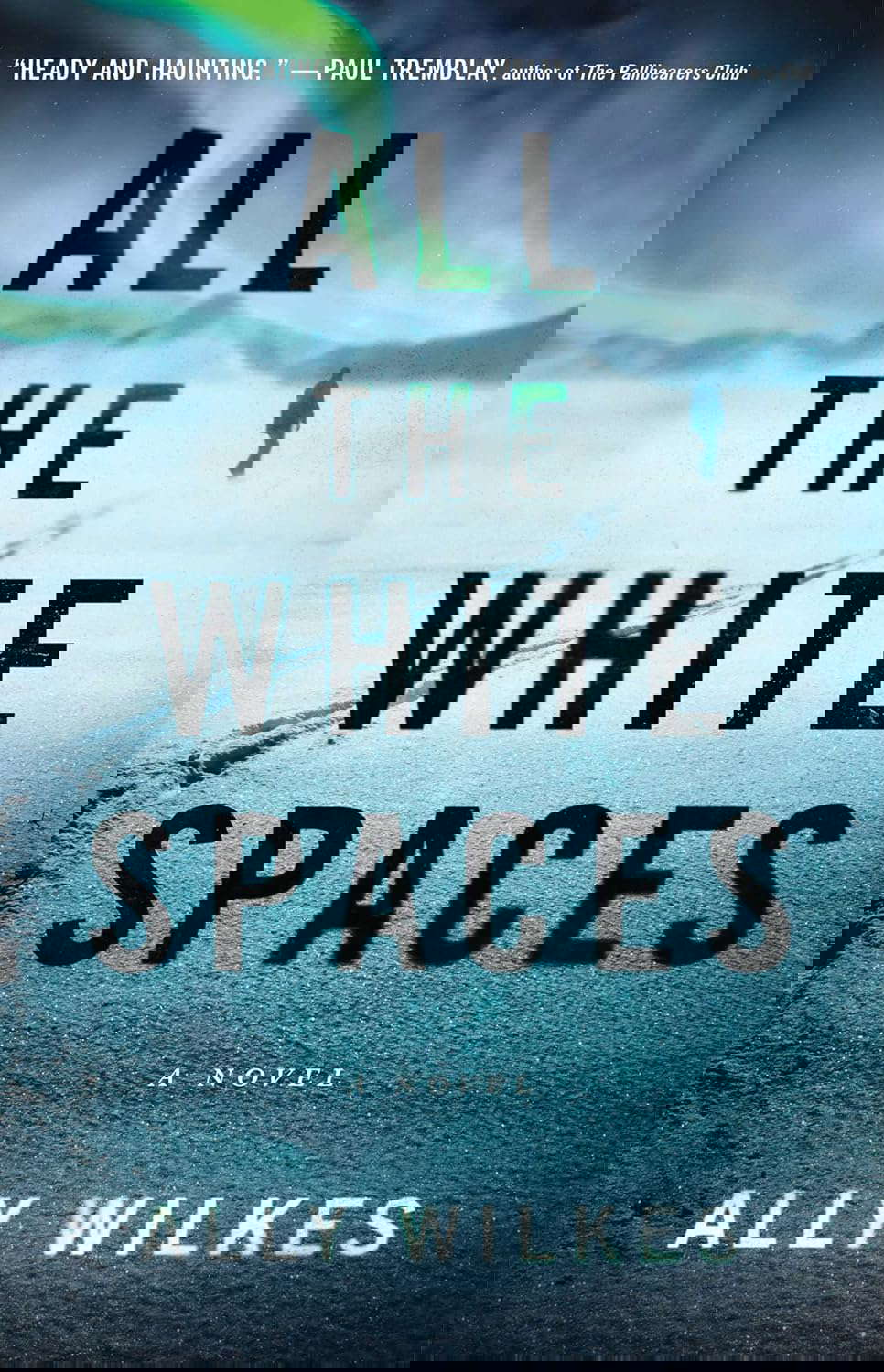 All the White Spaces: A Novel poster