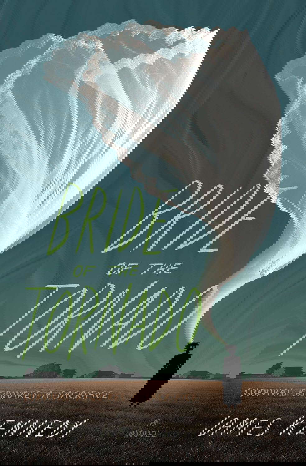 Bride of the Tornado: A Novel poster