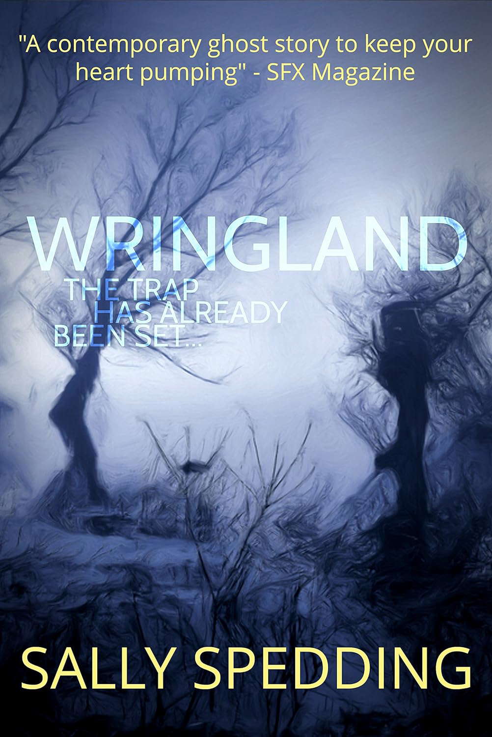Wringland: A Chilling Ghost Story poster