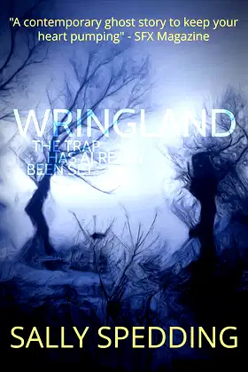 Wringland: A Chilling Ghost Story poster