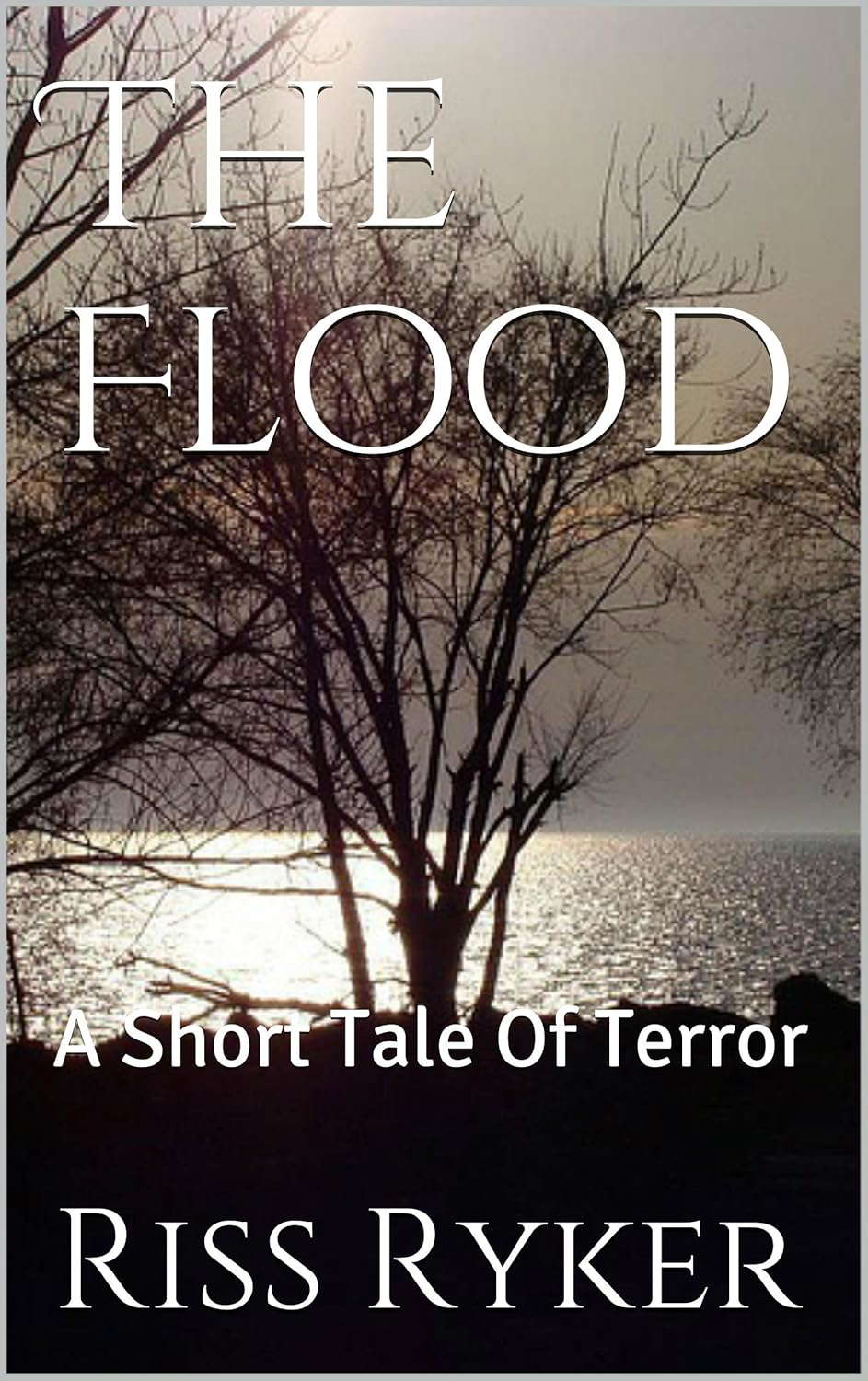 The Flood: A Short Tale Of Terror poster