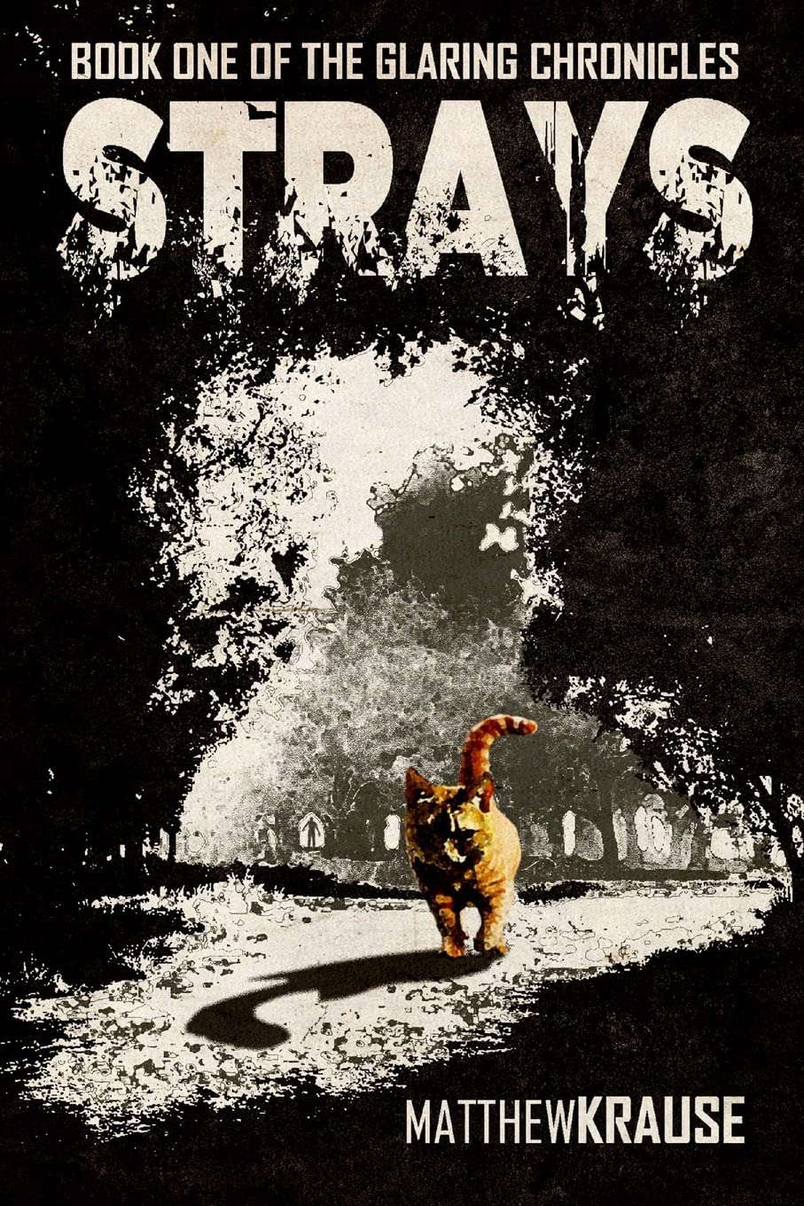 Strays: Book One of The Glaring Chronicles poster