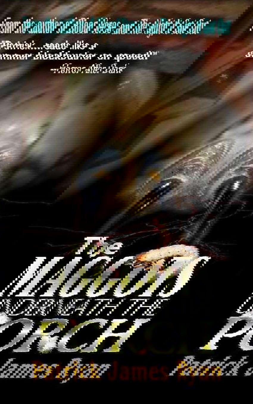 The Maggots Underneath the Porch poster