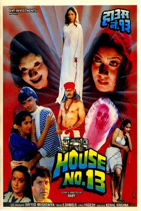 House No. 13 poster
