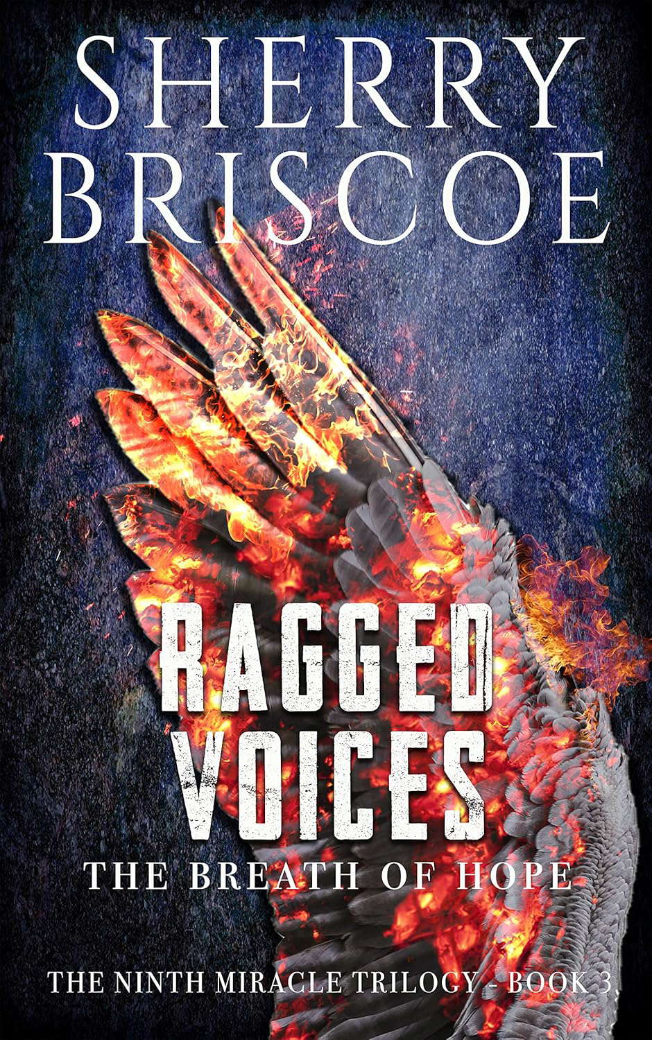 Ragged Voices: The Breath of Hope (The Ninth Miracle Trilogy Book 3) poster