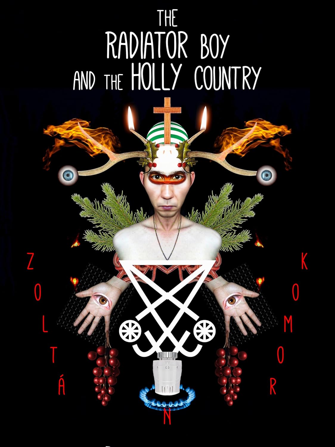 The Radiator Boy and The Holly Country poster