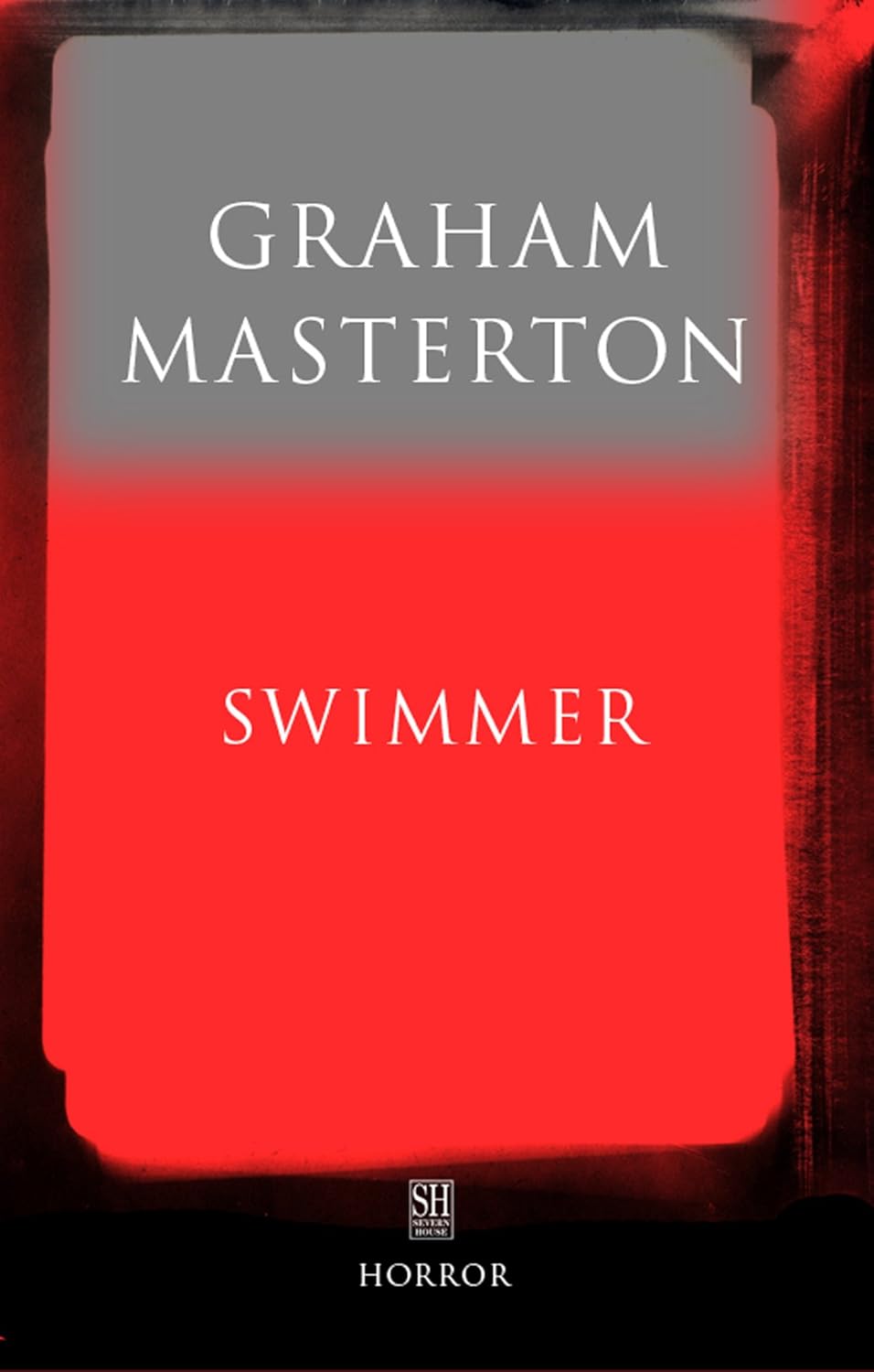 Swimmer (Rook Book 5) poster
