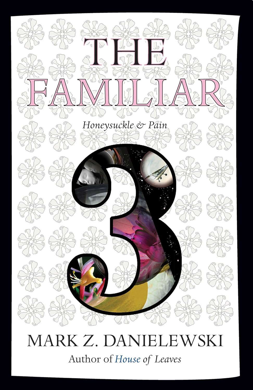 The Familiar, Volume 3: Honeysuckle & Pain poster
