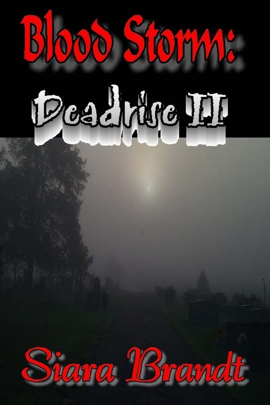Blood Storm: Deadrise II poster