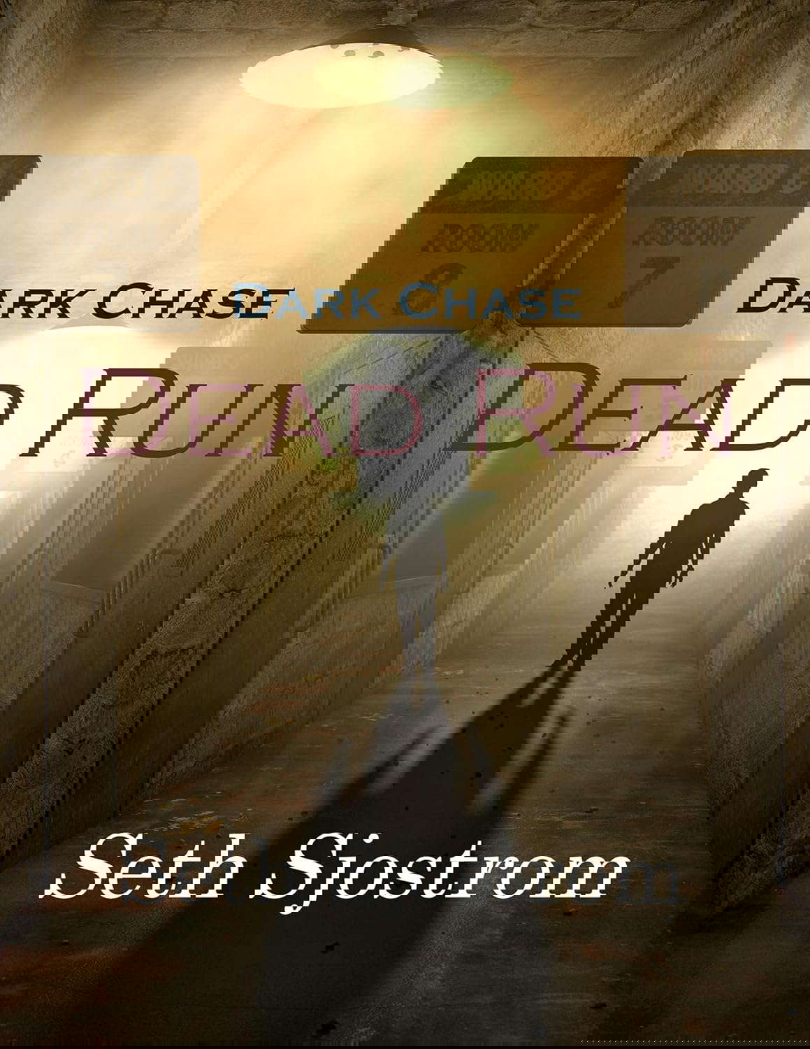 Dark Chase: Dead Run poster