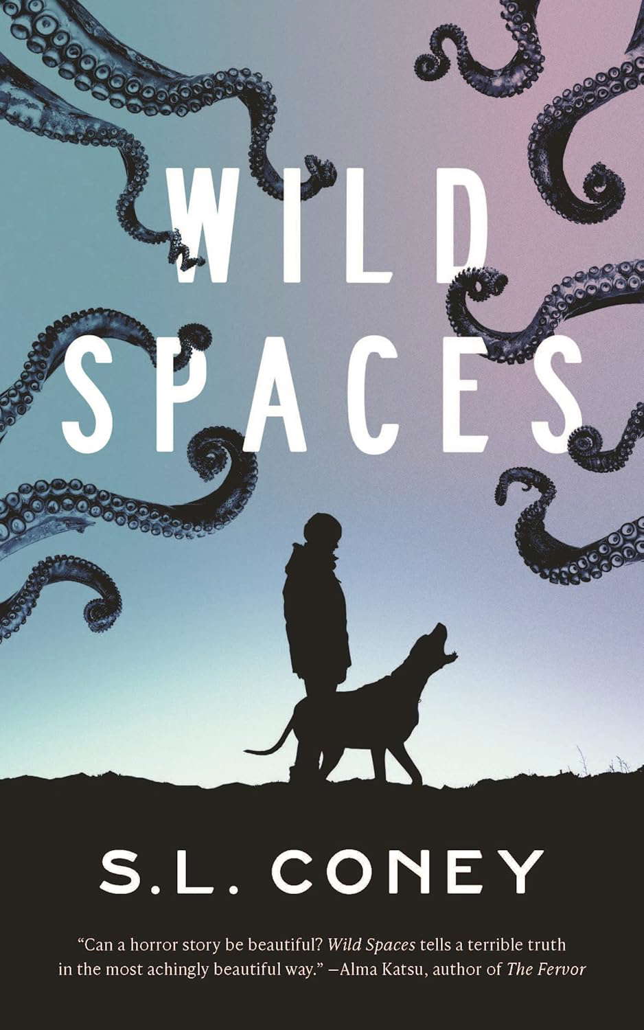 Wild Spaces poster
