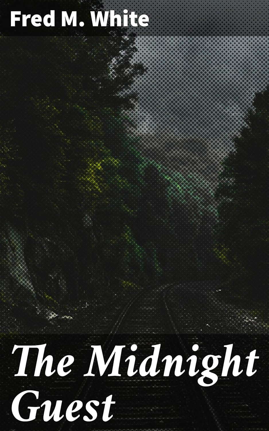The Midnight Guest: A Detective Story poster