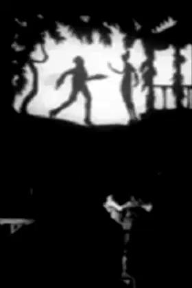 Der verlorene Schatten poster