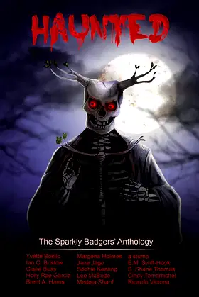Haunted: The Sparkly Badgers' Anthology poster