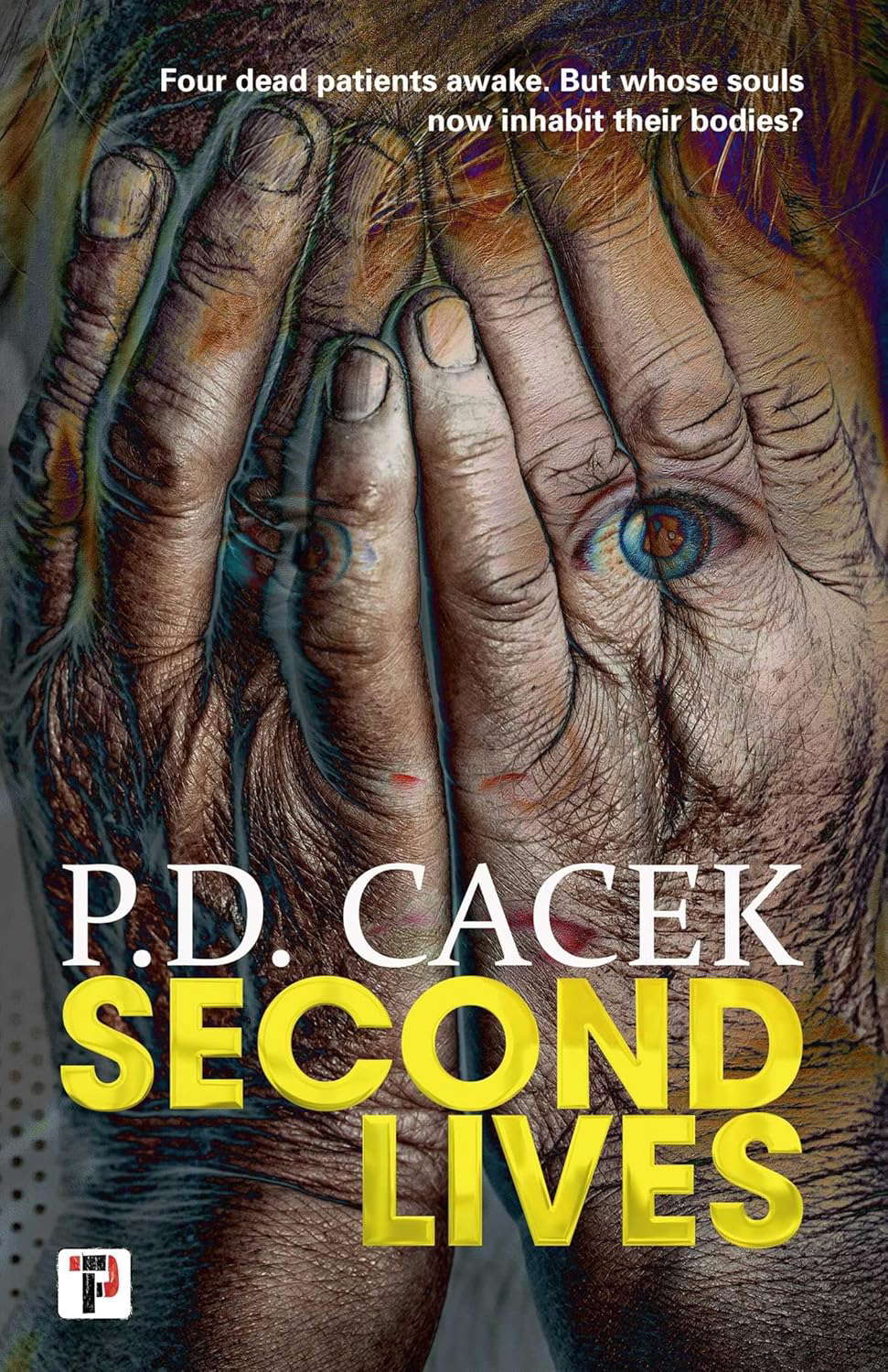 Second Lives (1) poster