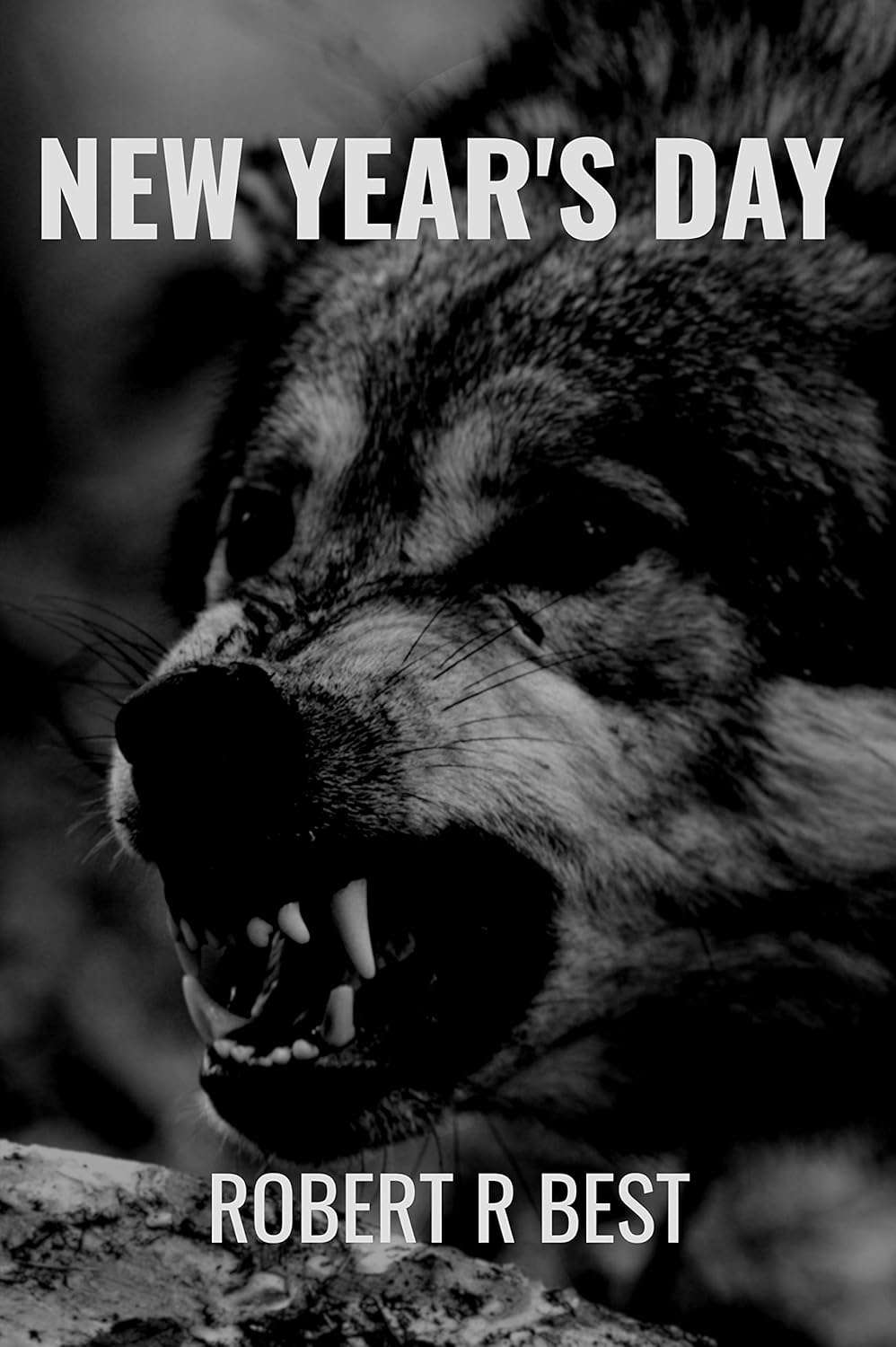 New Year's Day poster