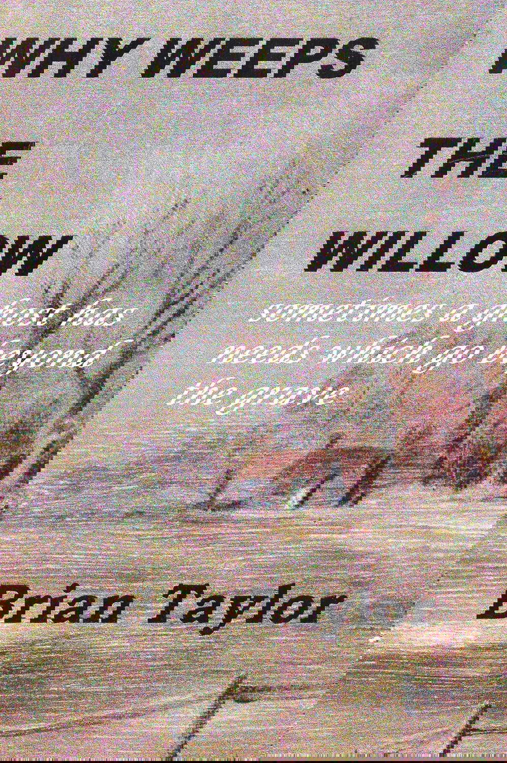 Why Weeps The Willow (Paranormal Romance) poster