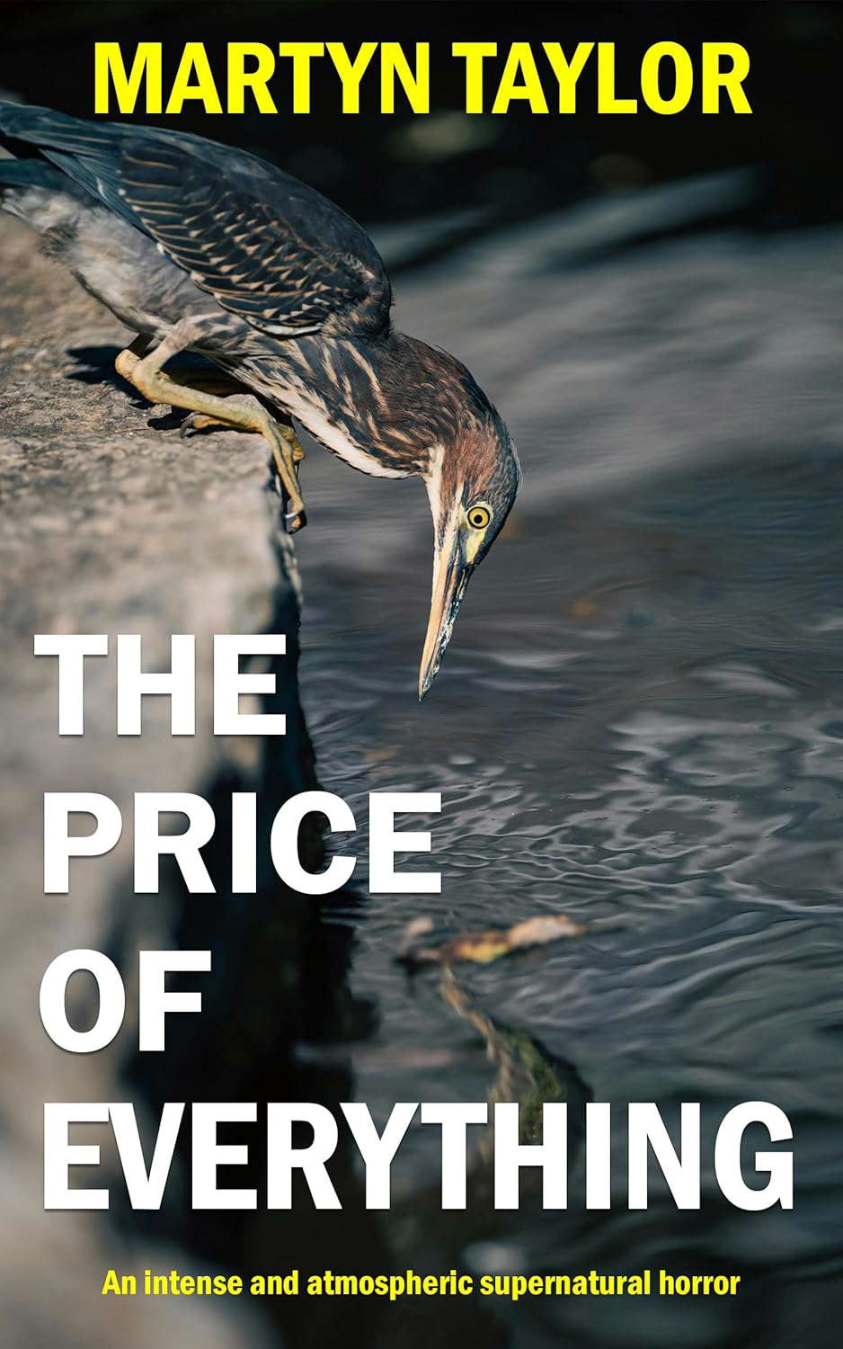 THE PRICE OF EVERYTHING: an intense and atmospheric supernatural horror poster