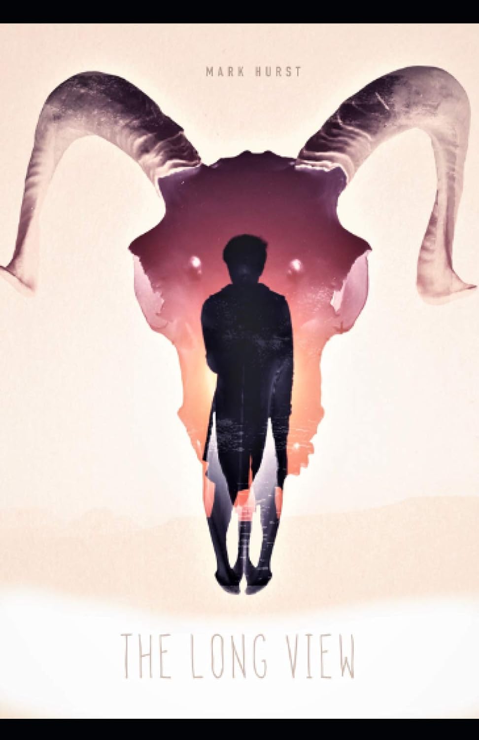 The Long View poster