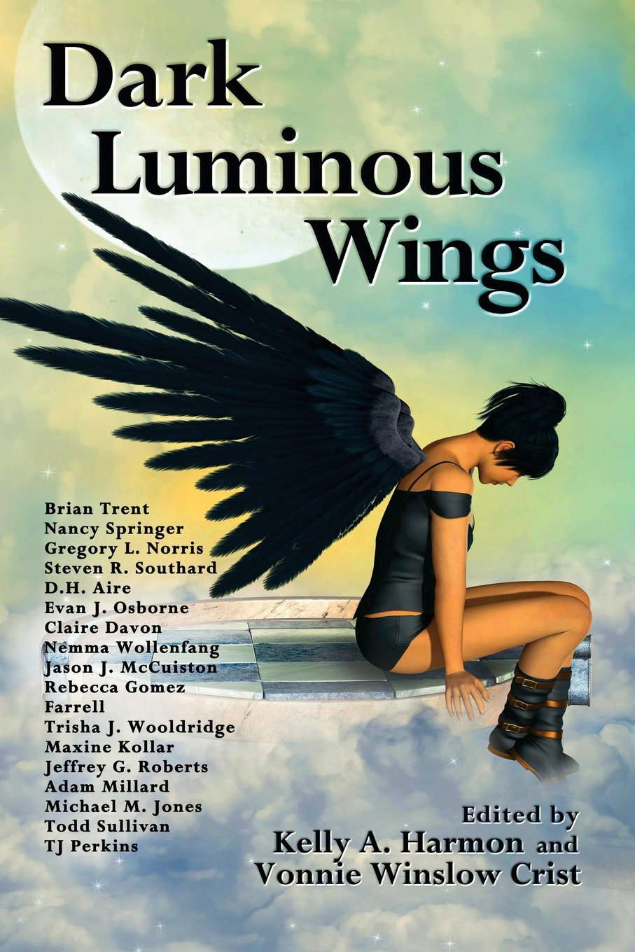 Dark Luminous Wings poster