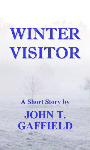 Winter Visitor poster