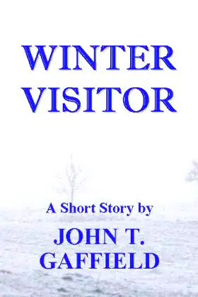 Winter Visitor poster