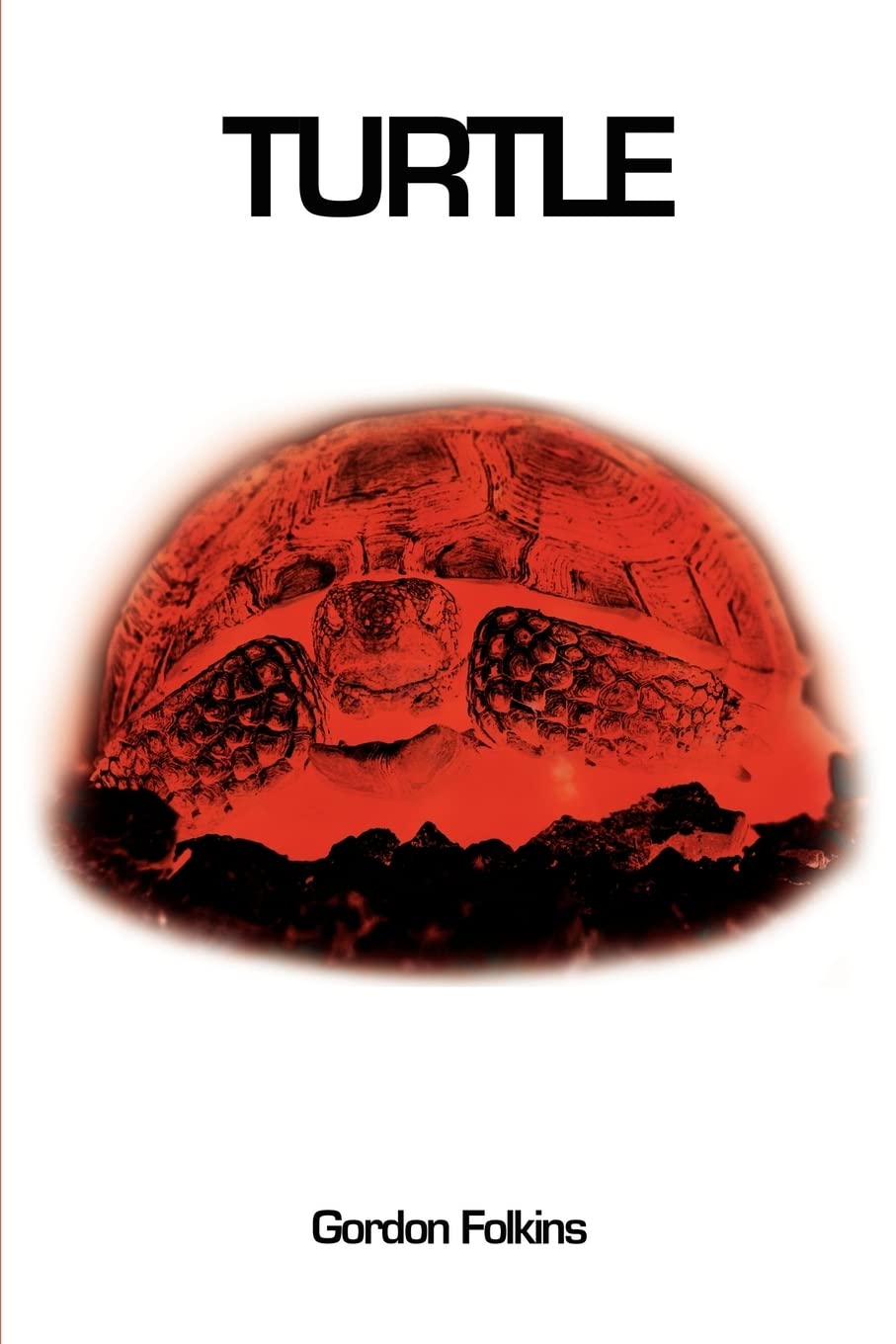 Turtle poster