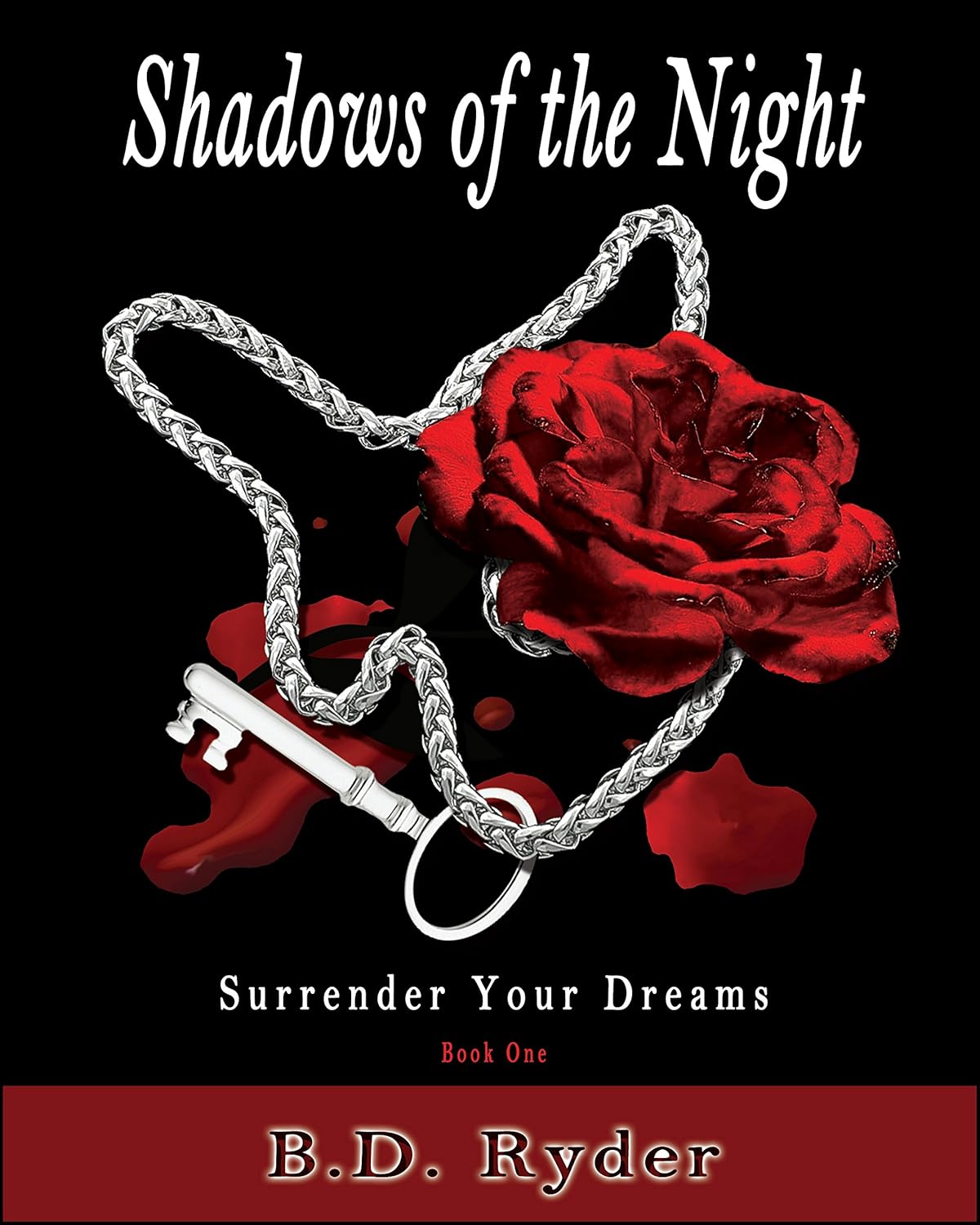 Shadows of the Night (Surrender Your Dreams Book 1) poster